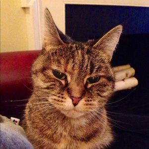 Meet your Posher, Stefanie